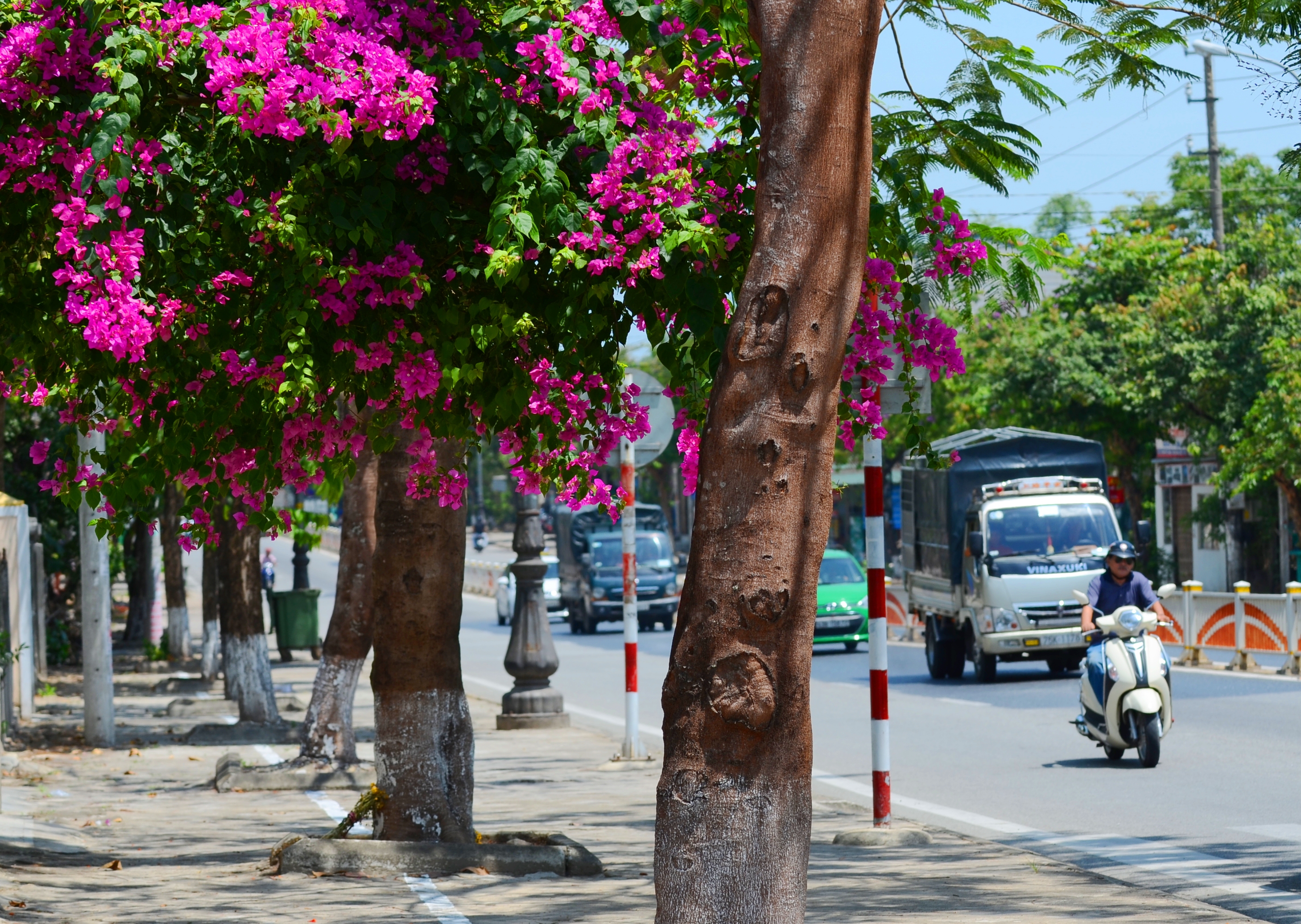 Đường Nguyễn Tất Thành qua địa bàn P.Thủy Châu