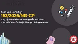 Nghị định số 163/2026/NĐ-CP ngày 15/5/2026 của Chính phủ quy định chi tiết và hướng dẫn thi hành một số điều của Luật Phòng, chống ma túy 2025