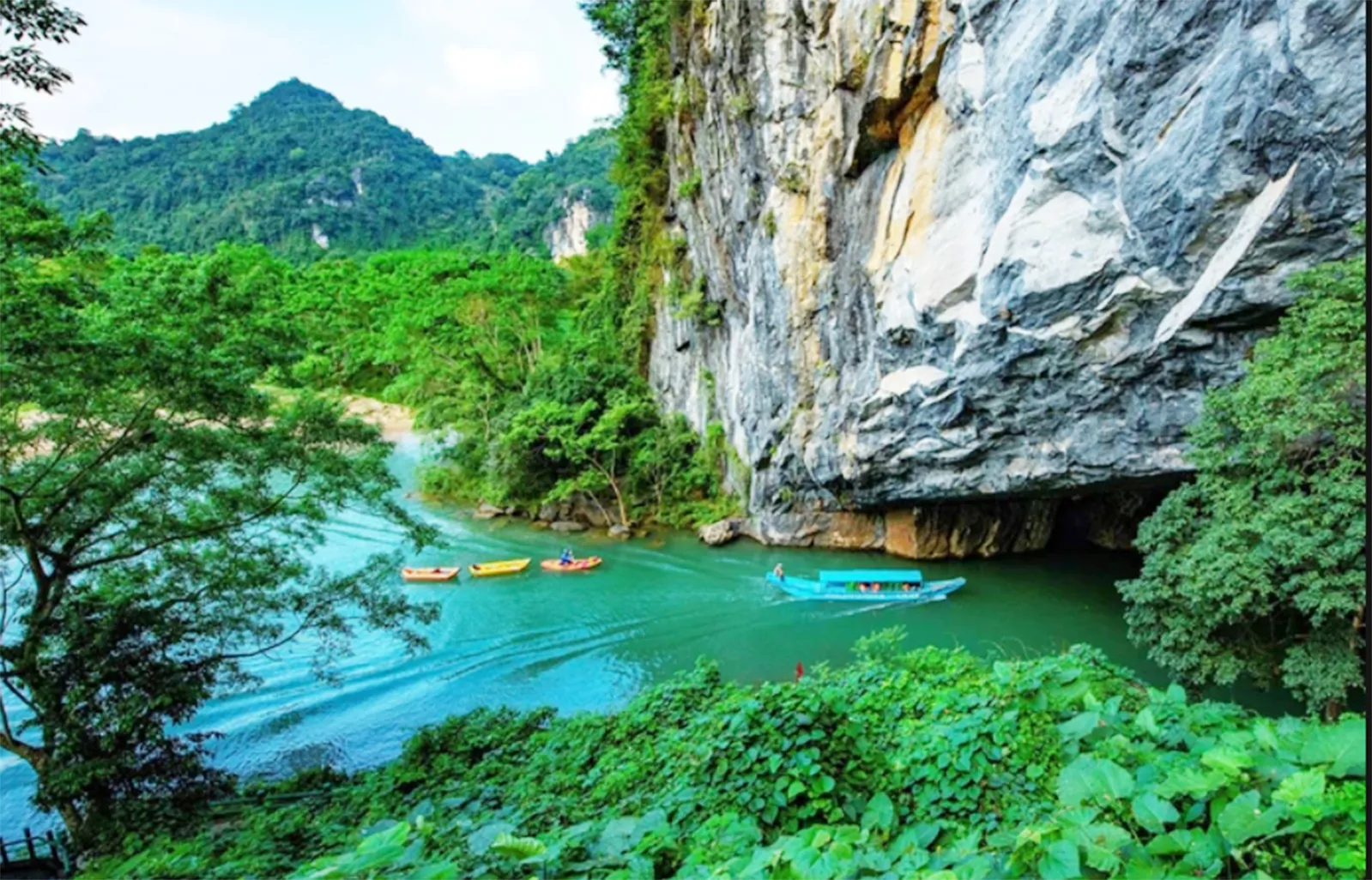 Vườn Quốc gia Phong Nha - Kẻ Bàng tham gia Giải thưởng Du lịch thế giới năm 2026 (World Travel Awards)